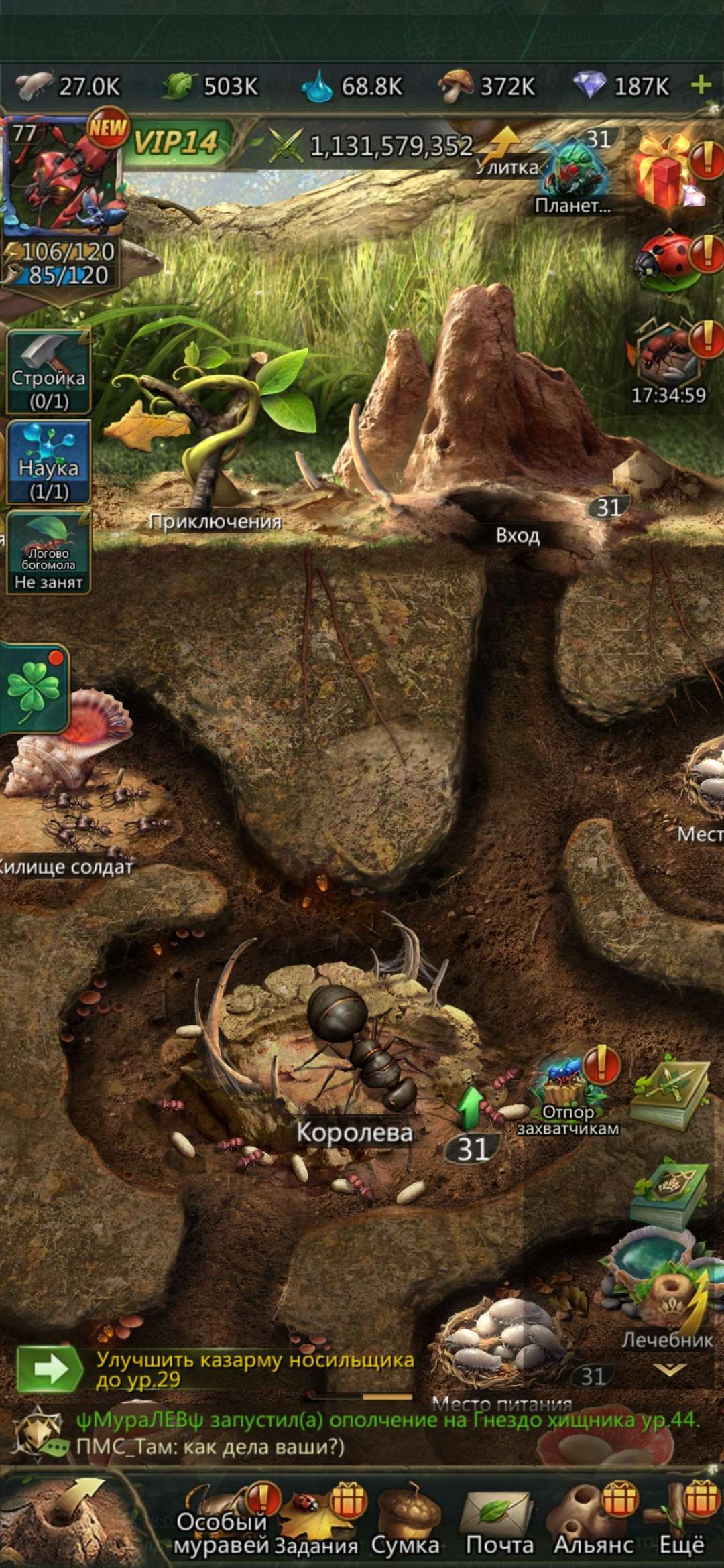 продажа аккаунта к игре Ant Legion